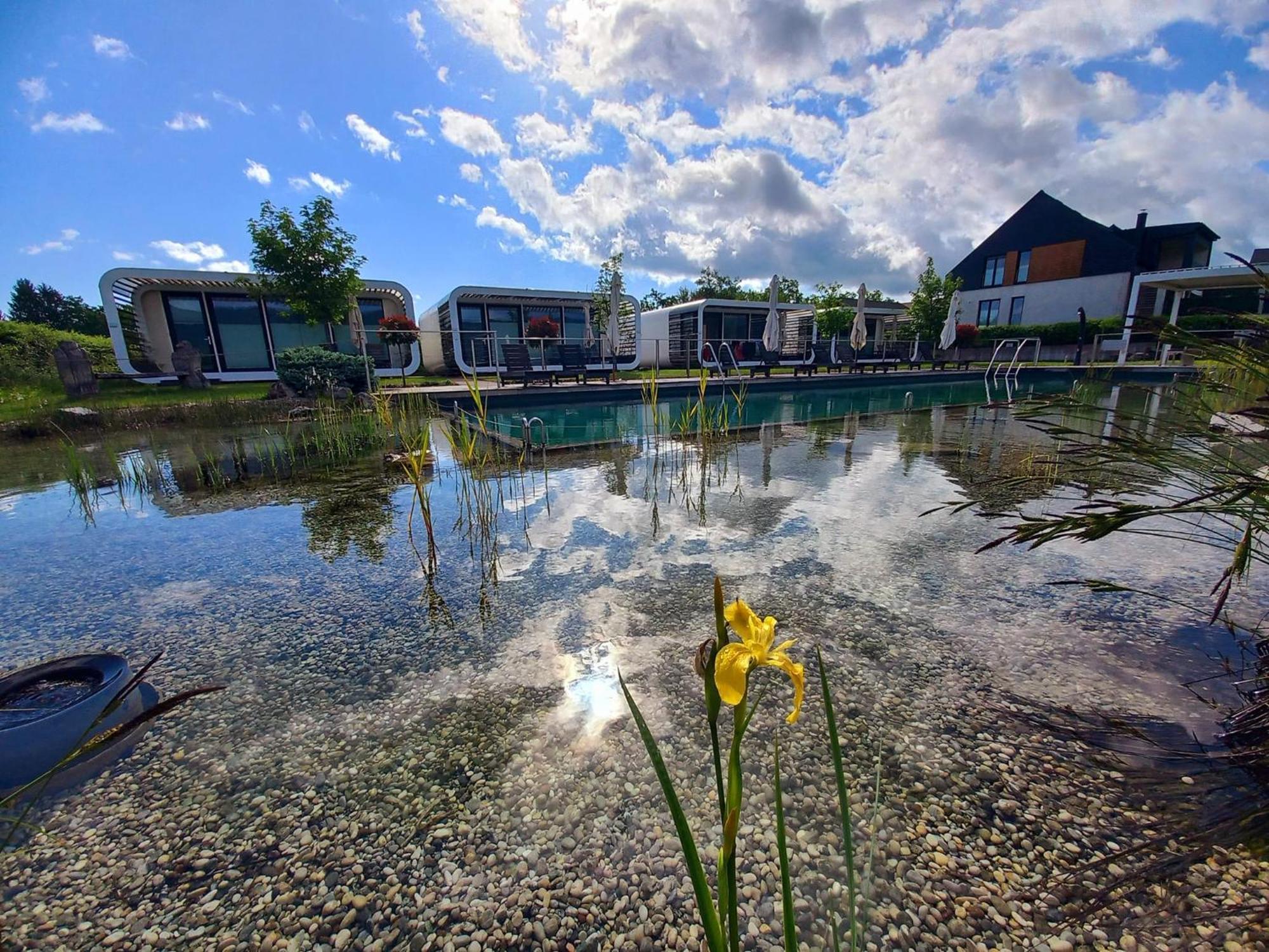 Glamping Maleric With Natural Pool Dragatuš エクステリア 写真